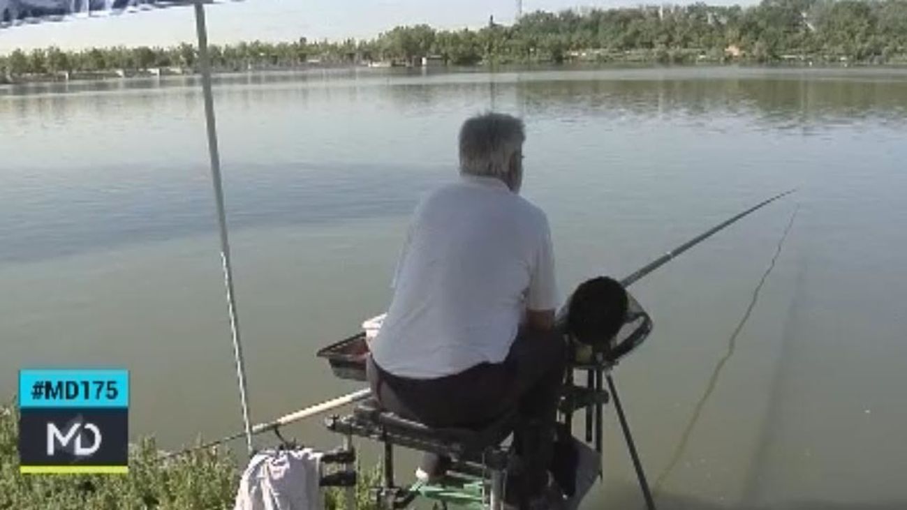 La Laguna de la Tía Pascuala, un hito de la pesca en pleno Leganés