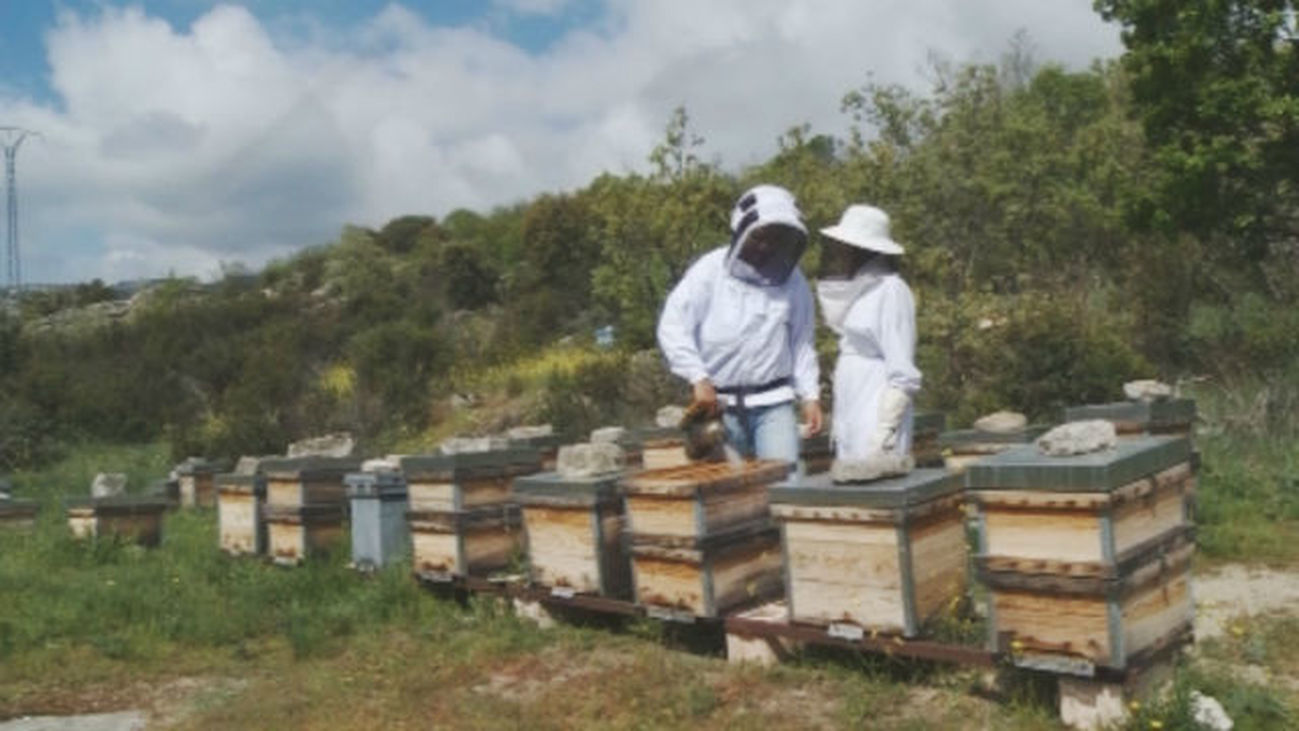 ¿Cuál es el ser vivo más importante del mundo?
