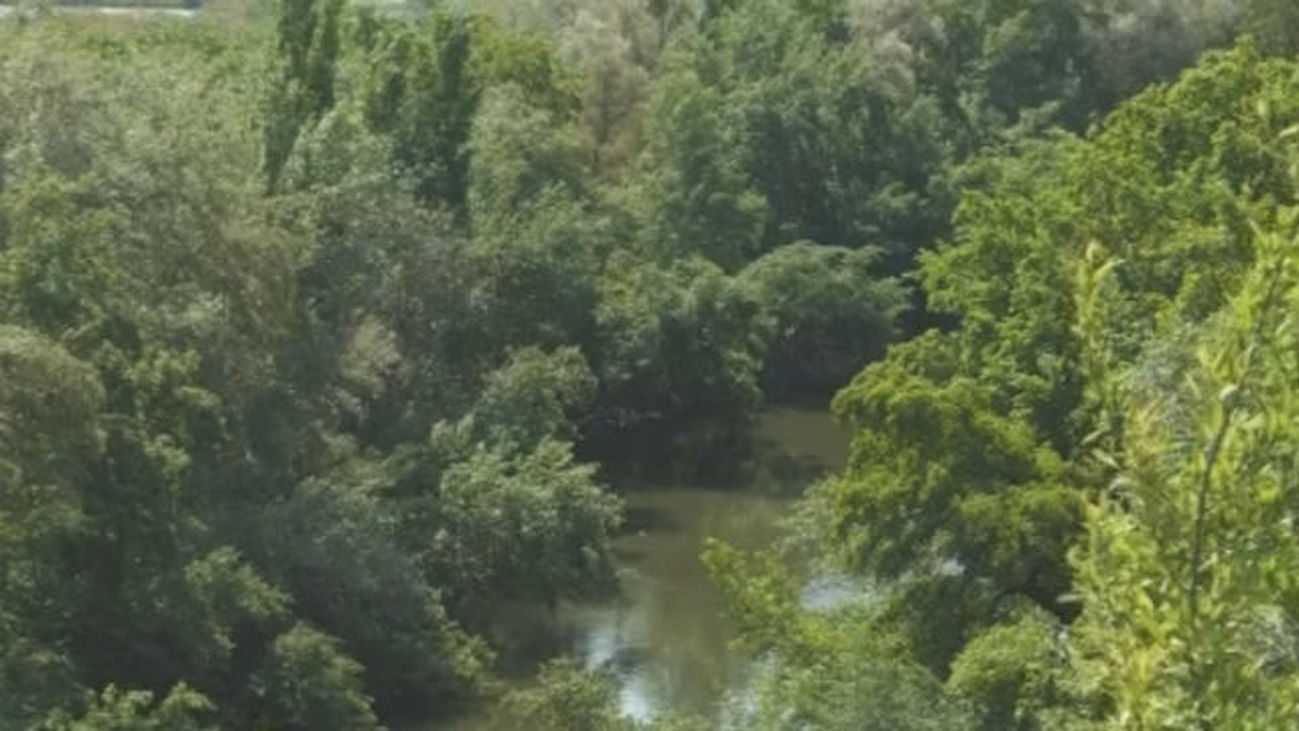 Un auténtico paraíso botánico sin salir de Madrid