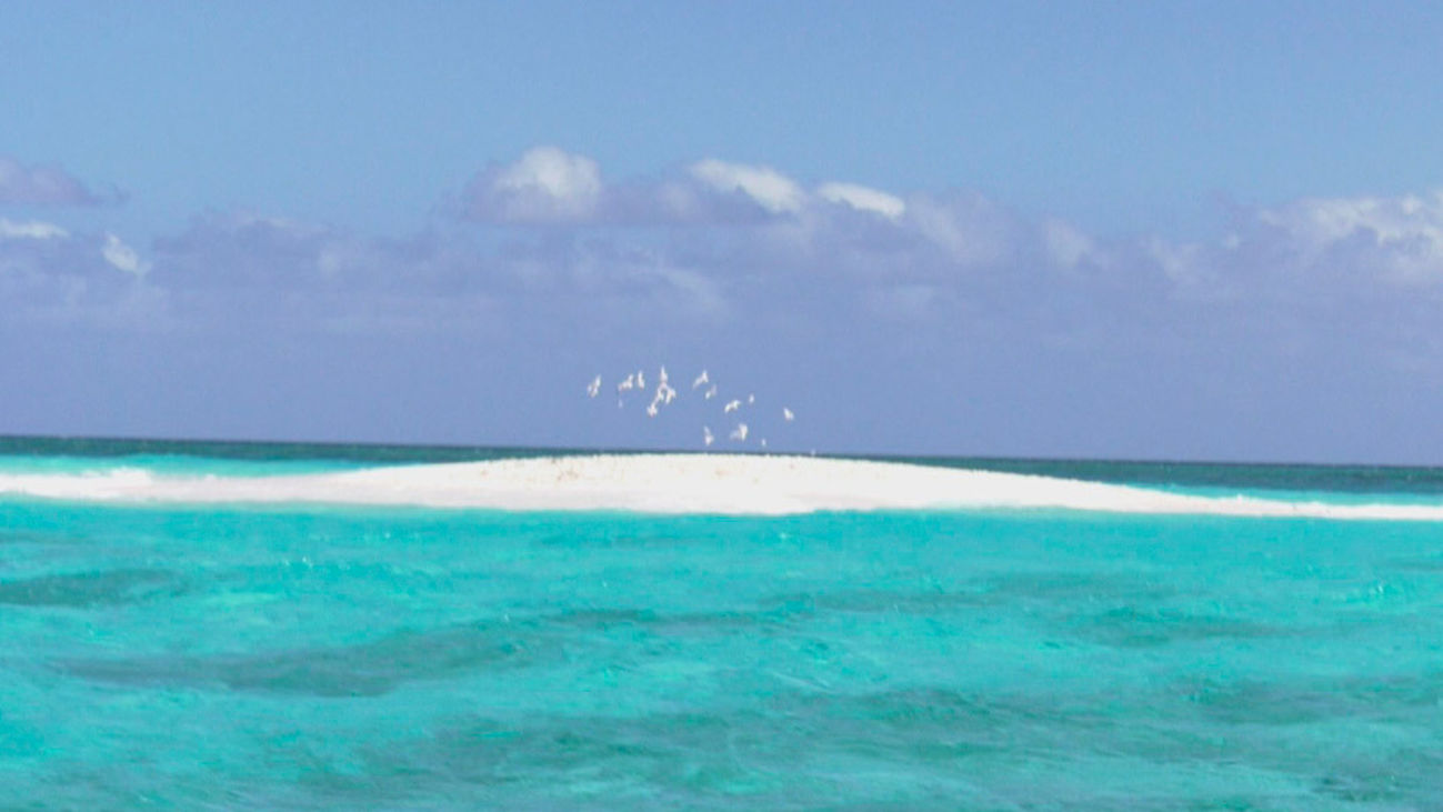 Islote de arena blanca