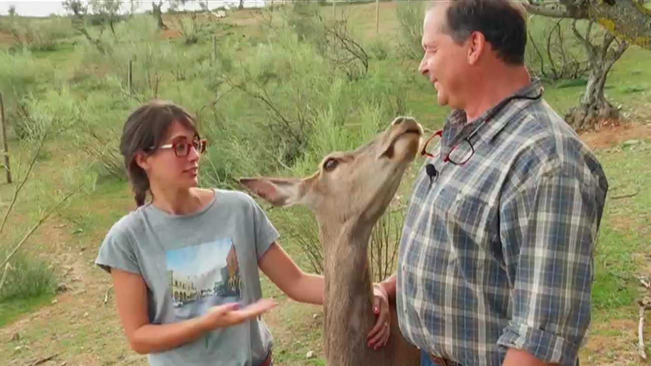 La Granja Escuela de El Molar, el hogar de animales abandonados