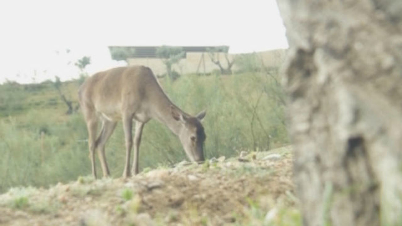 Mundo Madrid 29.05.2018