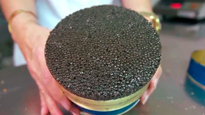 El caviar iraní es el más cotizado del mundo