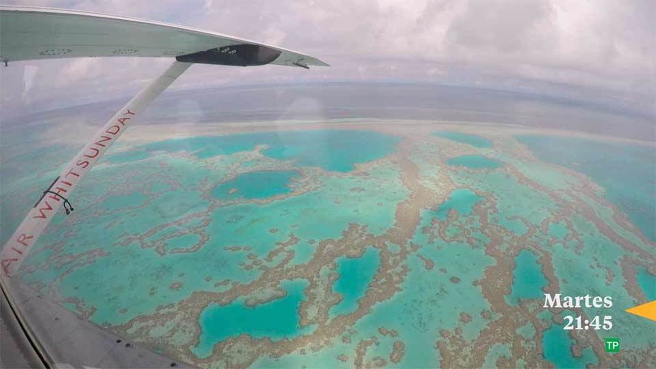 La barrera de coral australiana, en Madrileños por el mundo