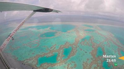 La barrera de coral australiana, en Madrileños por el mundo