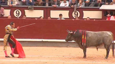 La casta de los toros de José Escolar