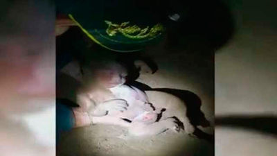 Una bebé indígena sobrevive tras ser enterrada con vida