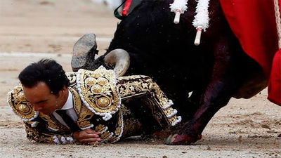 El Cid, intervenido de una cornada grave en el muslo derecho