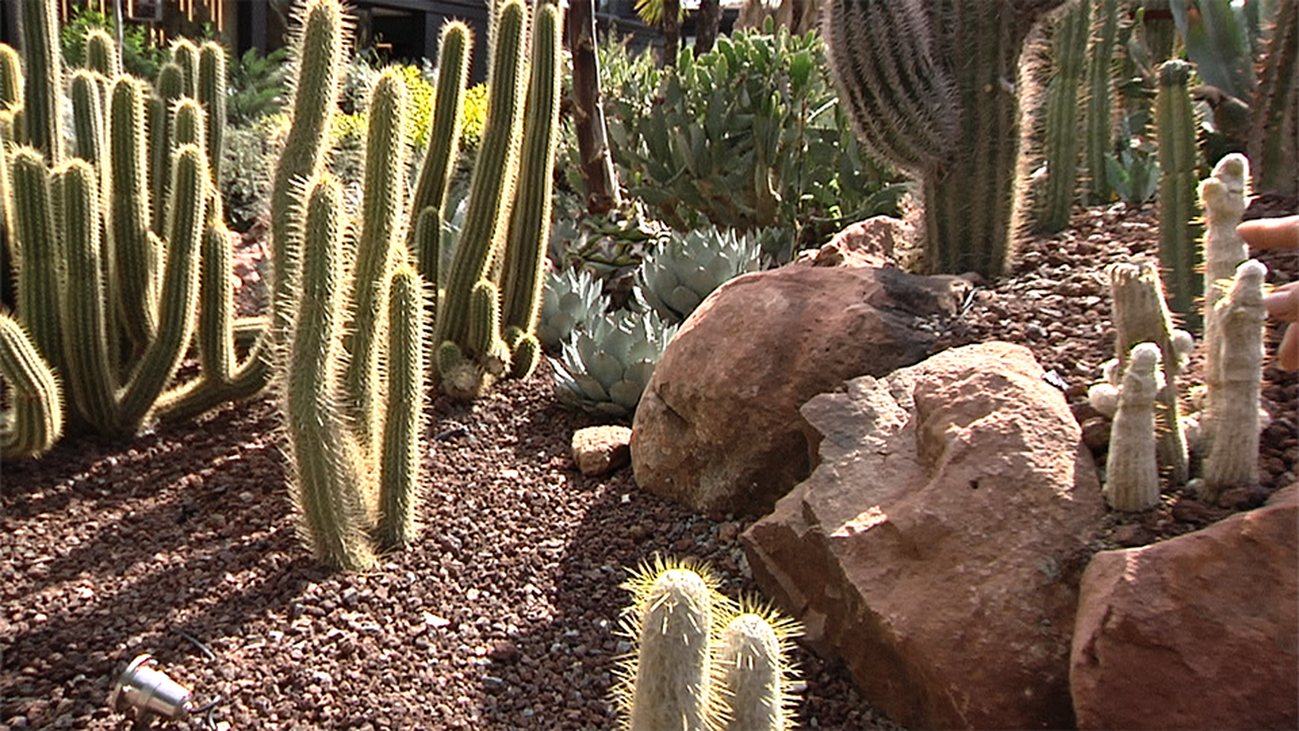¡Desert City,  el "desierto madrileño" más grande de Europa!
