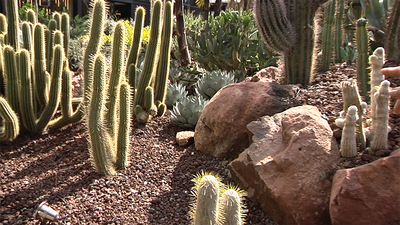 ¡Desert City,  el "desierto madrileño" más grande de Europa!