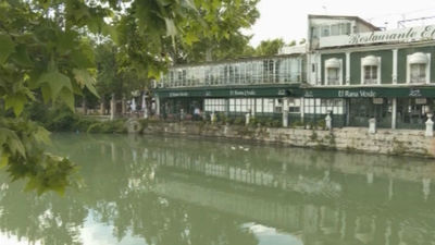 La historia de El Rana Verde