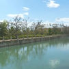 Una ruta por el Aranjuez más natural