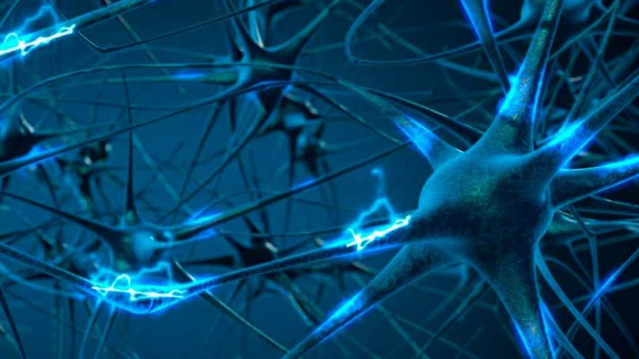 Proporcionando una mejor comprensión de la progresión de la enfermedad y permitiendo a los médicos ajustar los medicamentos en