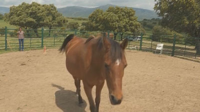 Mundo Madrid 14.06.2018