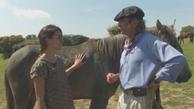 El hombre que susurraba a los caballos