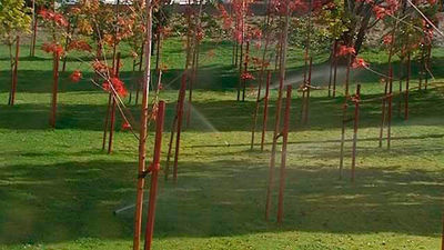 Madrid incluye la protección de biodiversidad en el Plan de Infraestructura Verde