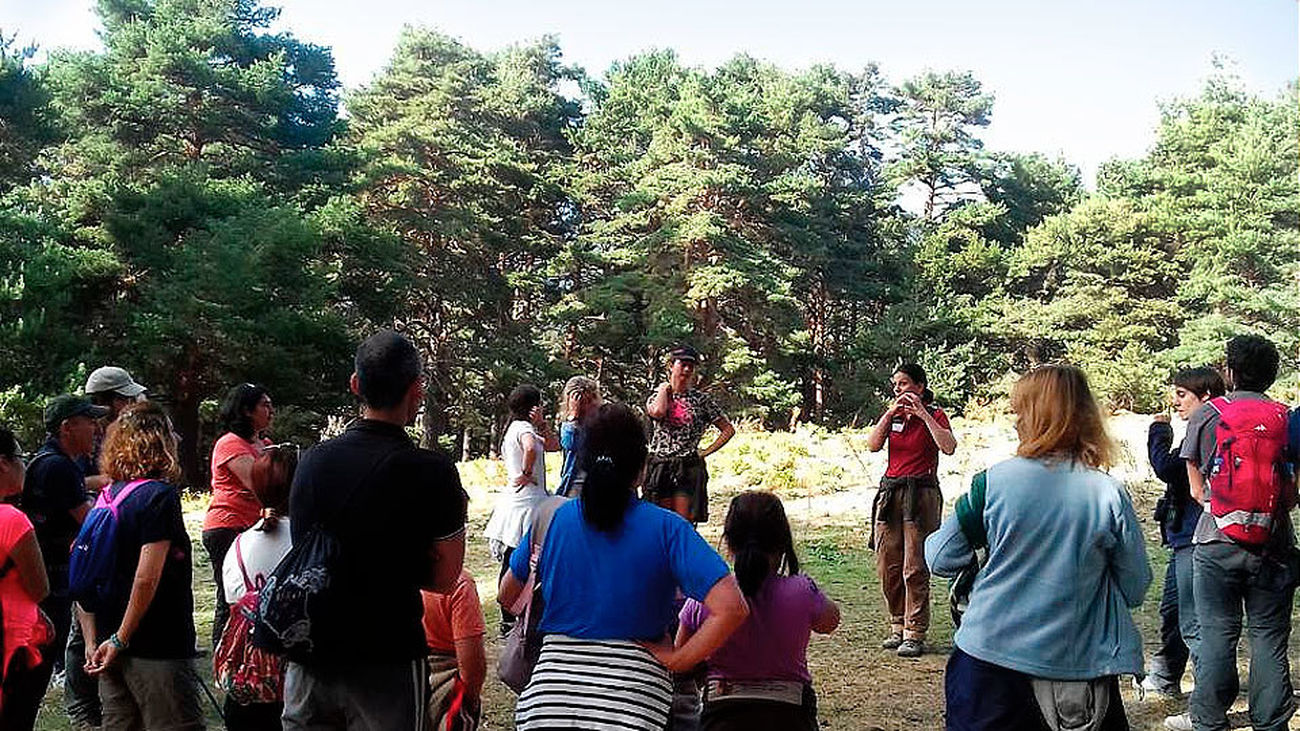 Rutas guiadas por la Comunidad de Madrid