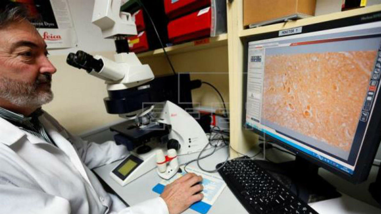 Ela, una enfermedad incurable