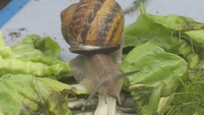 Mundo Madrid 22.06.2018