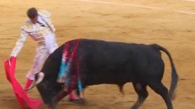 Buen toro pero de ilegal indulto