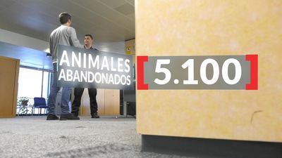 Los ángeles de la guarda para muchos animales