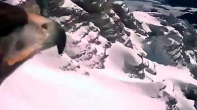 La vida a vista de águila