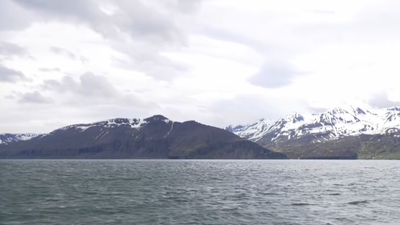 Husavik, uno de los lugares perfectos para el avistamiento de ballenas