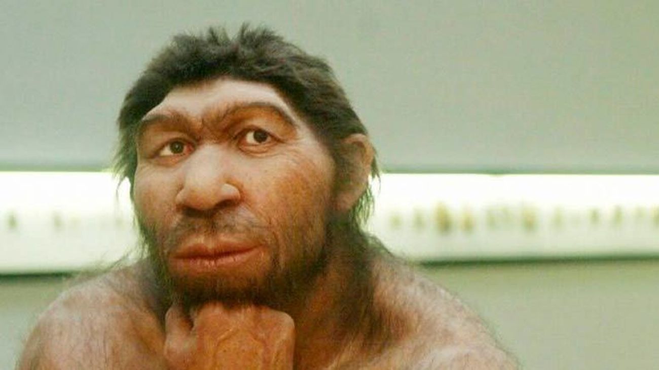 El neandertal tiene un córtex visual primario más extenso que el humano moderno