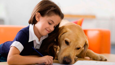 Proyecto “un perro, un niño feliz”