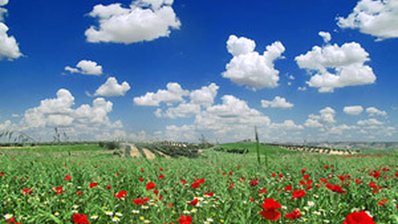 Ascenso de temperaturas