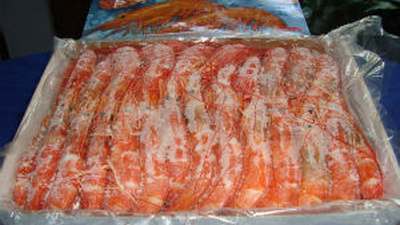 Intervienen 110 kilos de cocaína entre langostinos congelados