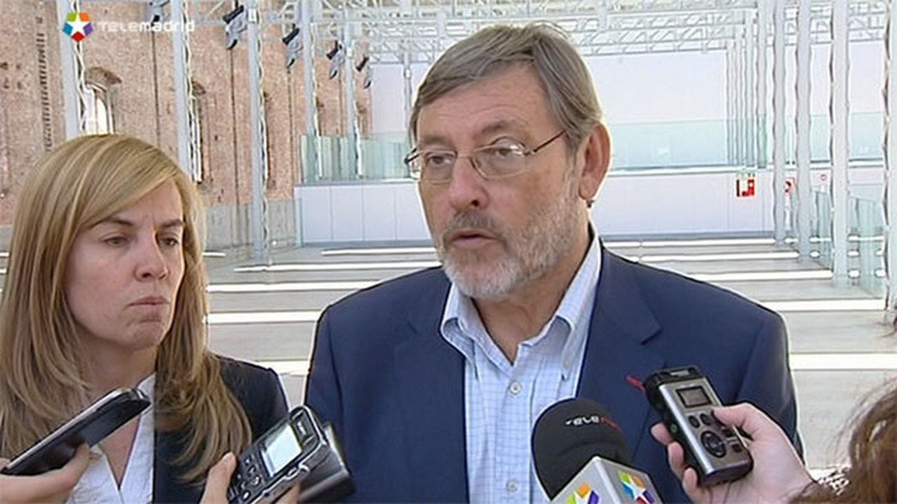 Lissavetzky critica que los expertos que estudian la caída de árboles se vayan de vacaciones