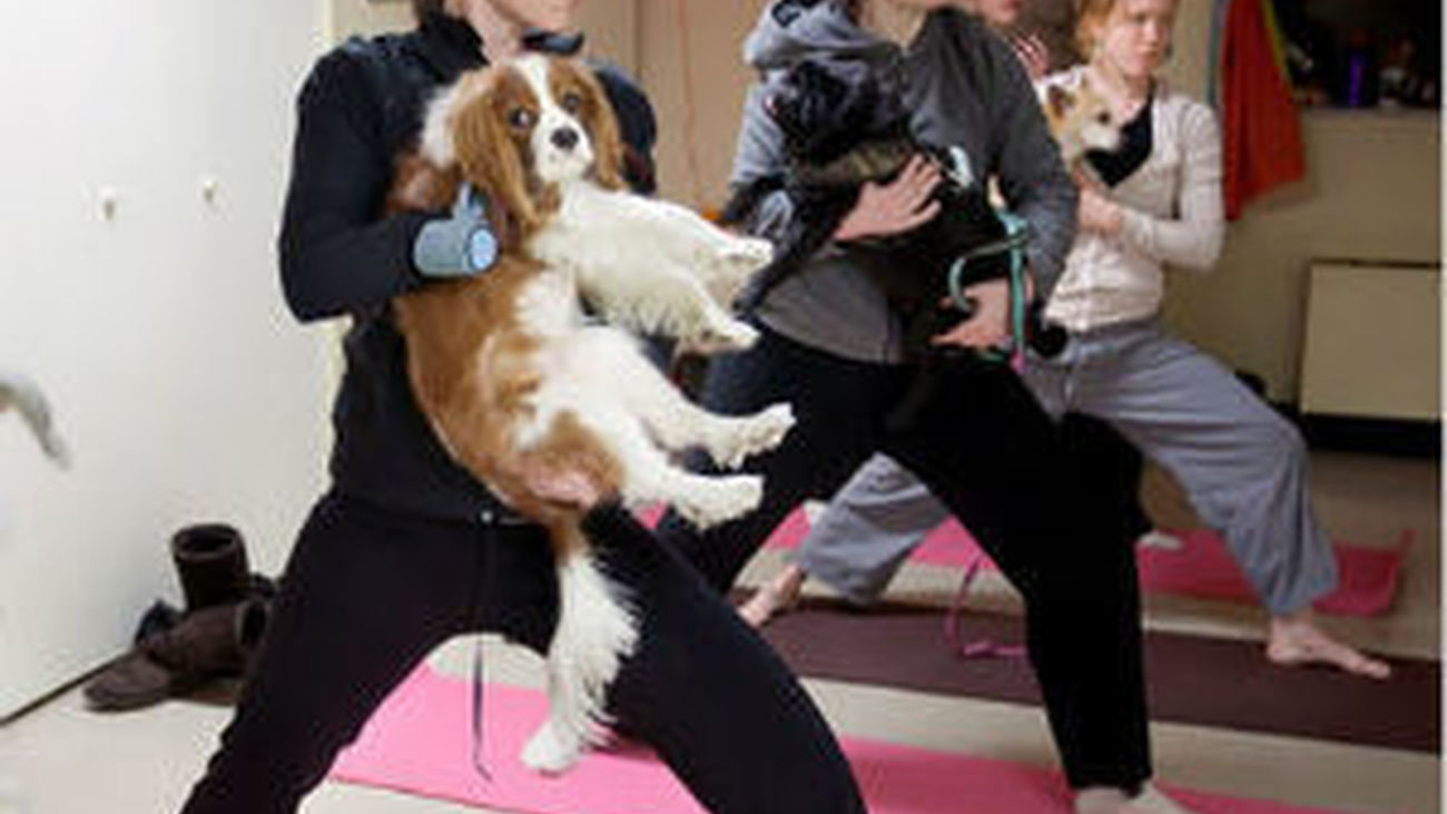 Nace un gimnasio para perros a precios 'anticrisis'