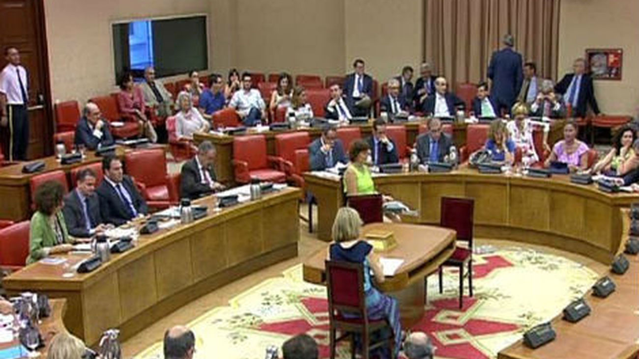 PSOE e IU piden que se convoque la Diputación Permanente por la reforma de la Ley del Aborto