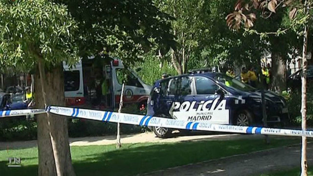 La caída de árboles en Madrid se ha convertido en un quebradero de cabeza para el Ayuntamiento