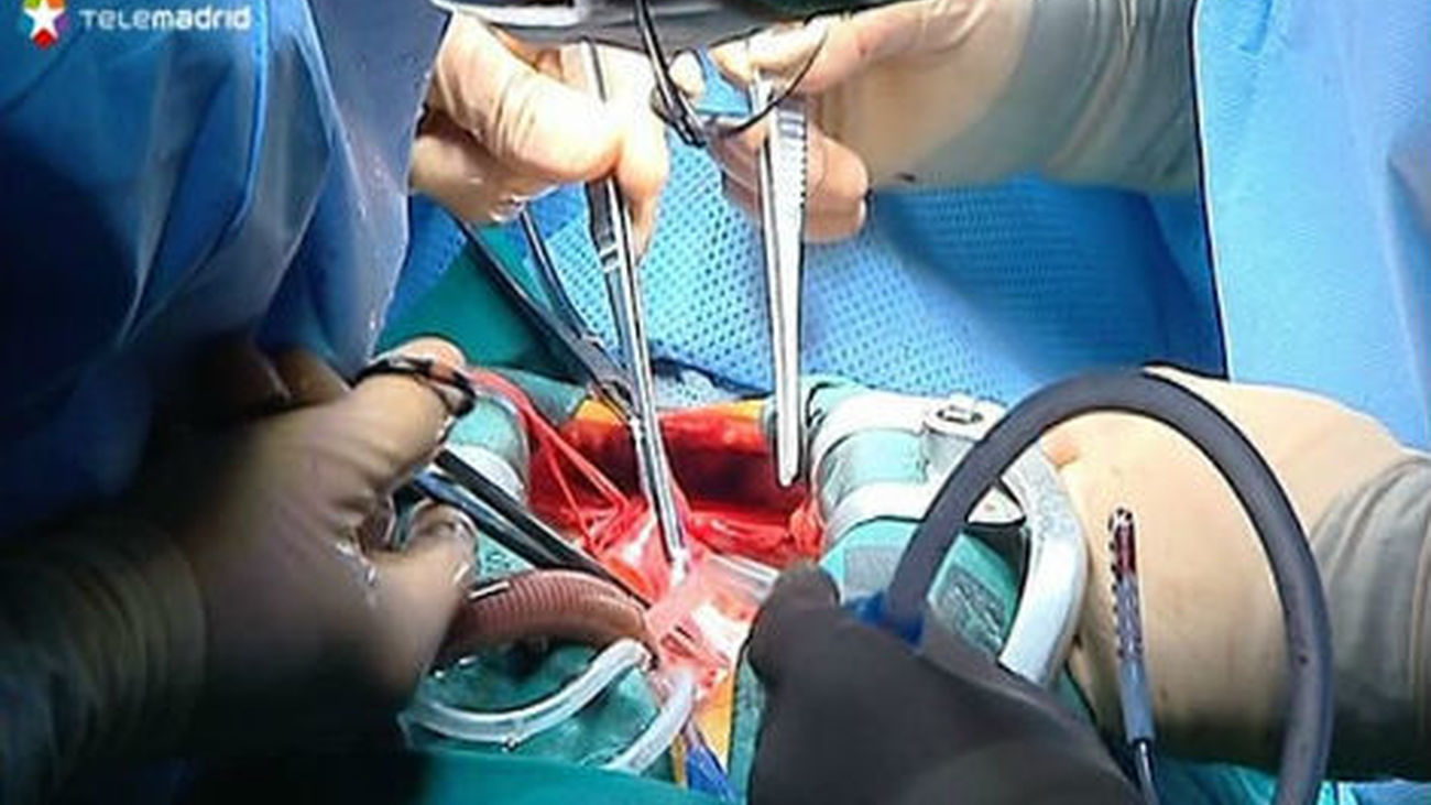 Cuatro hospitales madrileños contribuyen al récord en trasplantes que bate España