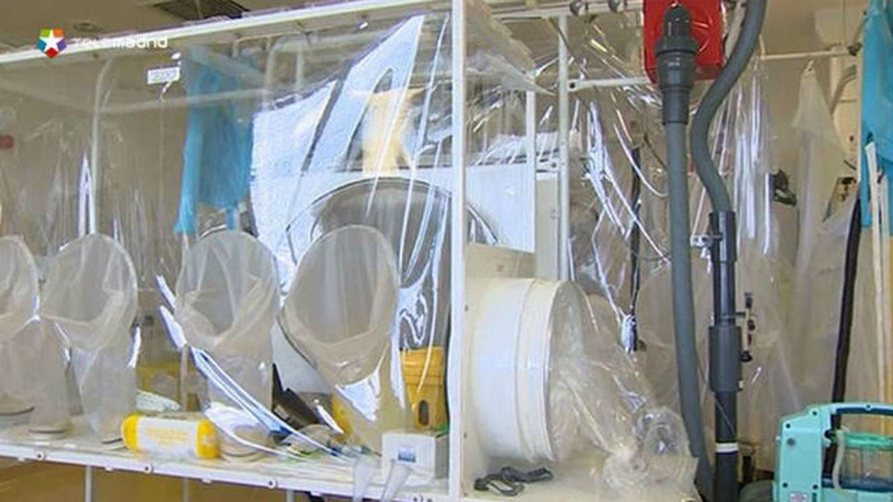 El sacerdote Miguel Pajares infectado de ébola está “estable” y sin hemorragias