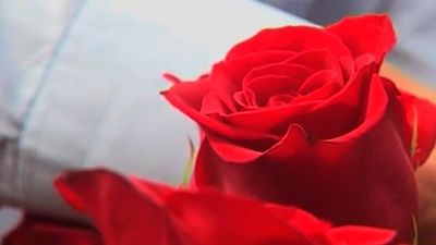 El Gobierno envía un "recuerdo emocionado" a las víctimas al cumplirse 21 años del asesinato de Miguel Ángel Blanco