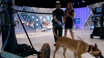 Athor, un perro capaz de rastrear y encontrar hasta una gota de sangre