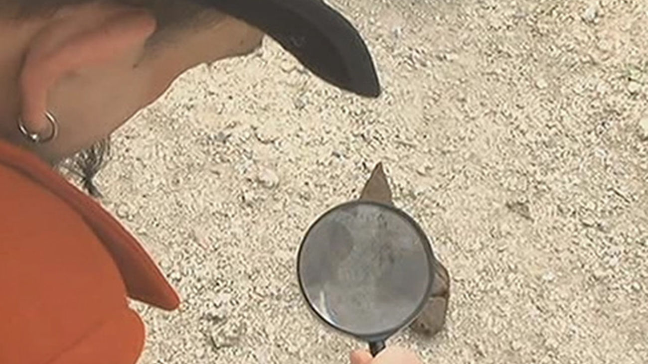 Aumentan las sanciones a los dueños de canes por no recoger sus excrementos