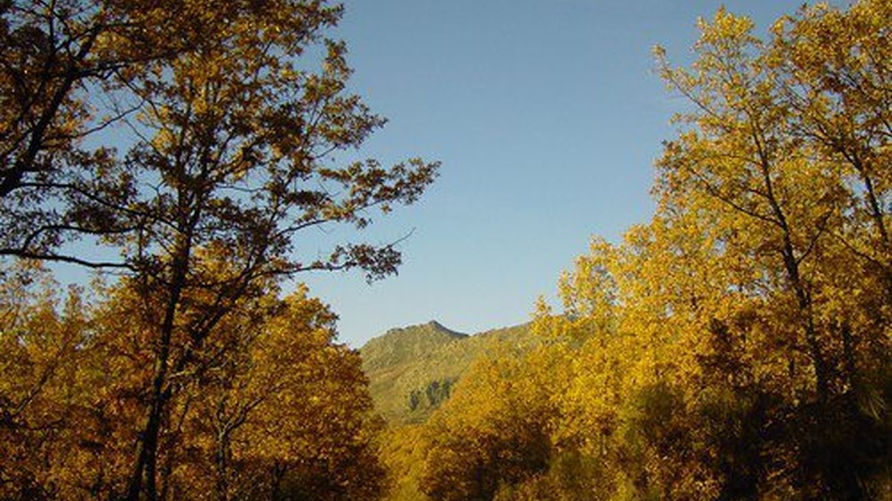 Comienzan a bajar las temperaturas máximas