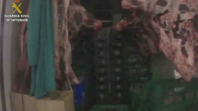 Desmantelado un almacén clandestino que almacenaba carne en condiciones lamentables junto a pájaros muertos