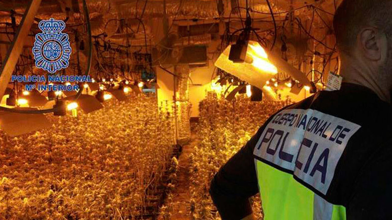 Desmantelado otro club de fumadores que vendía hachís y marihuana