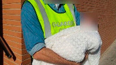 Detenida una pareja de hombres y una madre de alquiler que les vendió su bebé por 10.000 euros