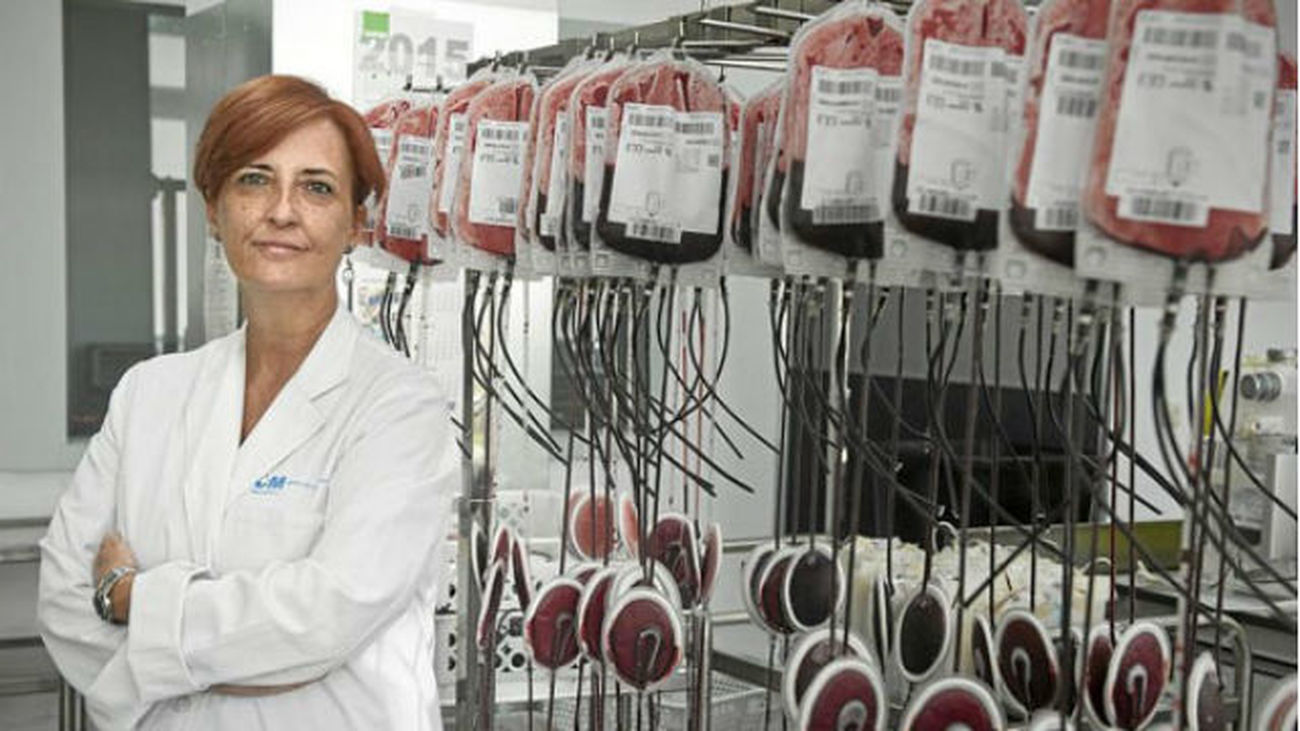 Entrevista a Luisa Barea, directora del Centro de Transfusion de Madrid, sobre las donaciones de médula