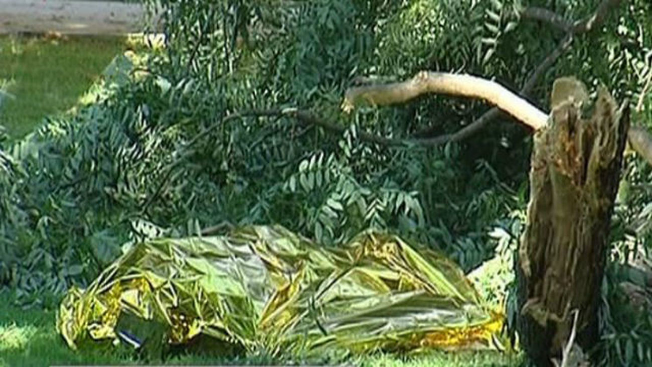 Plan de rejuvenecimiento: podas en El Retiro para acabar con la caída de los árboles