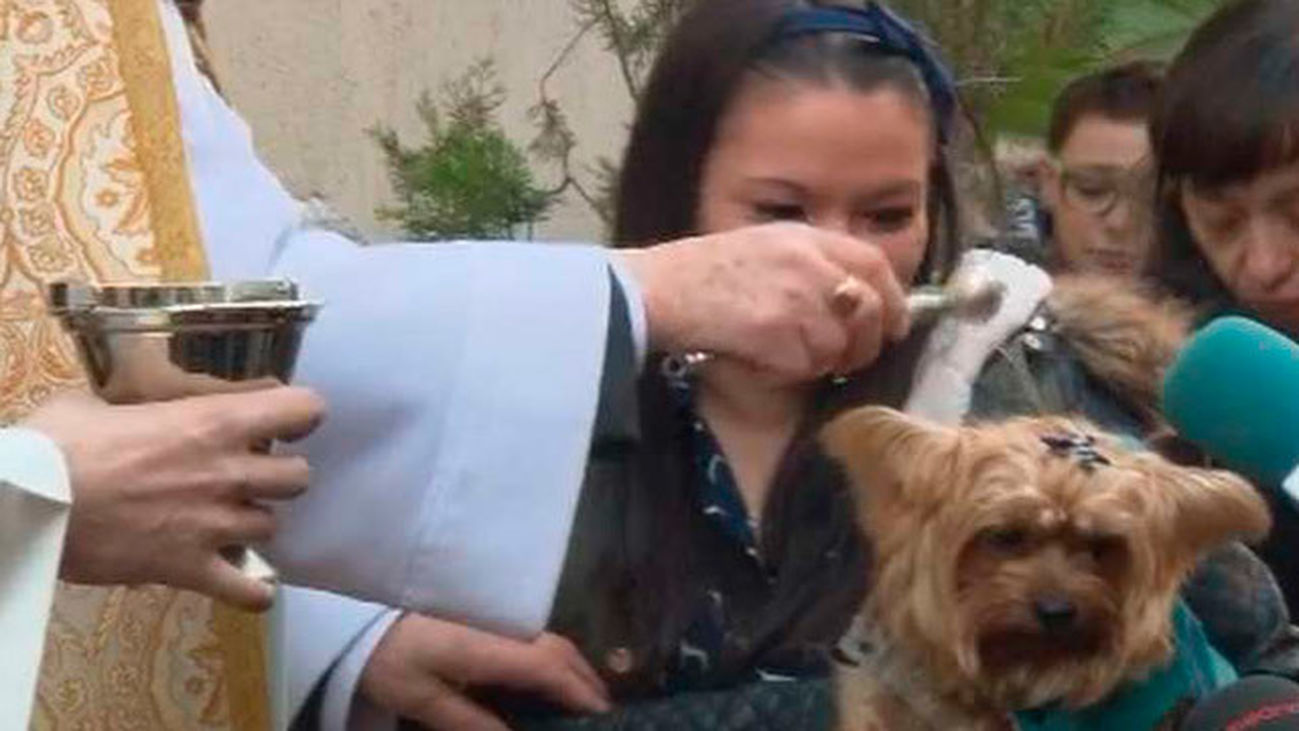 Visitamos la iglesia de San Antón, donde se celebra el día de su patrón