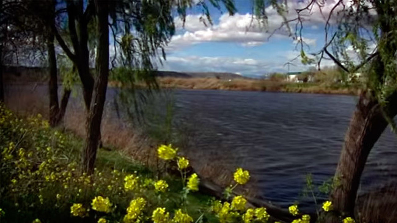 Los campings, una opción económica para el verano