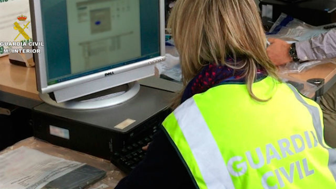 Dos detenidos por distribuir a través de internet pornografía infantil a más de 1.000 pedófilos