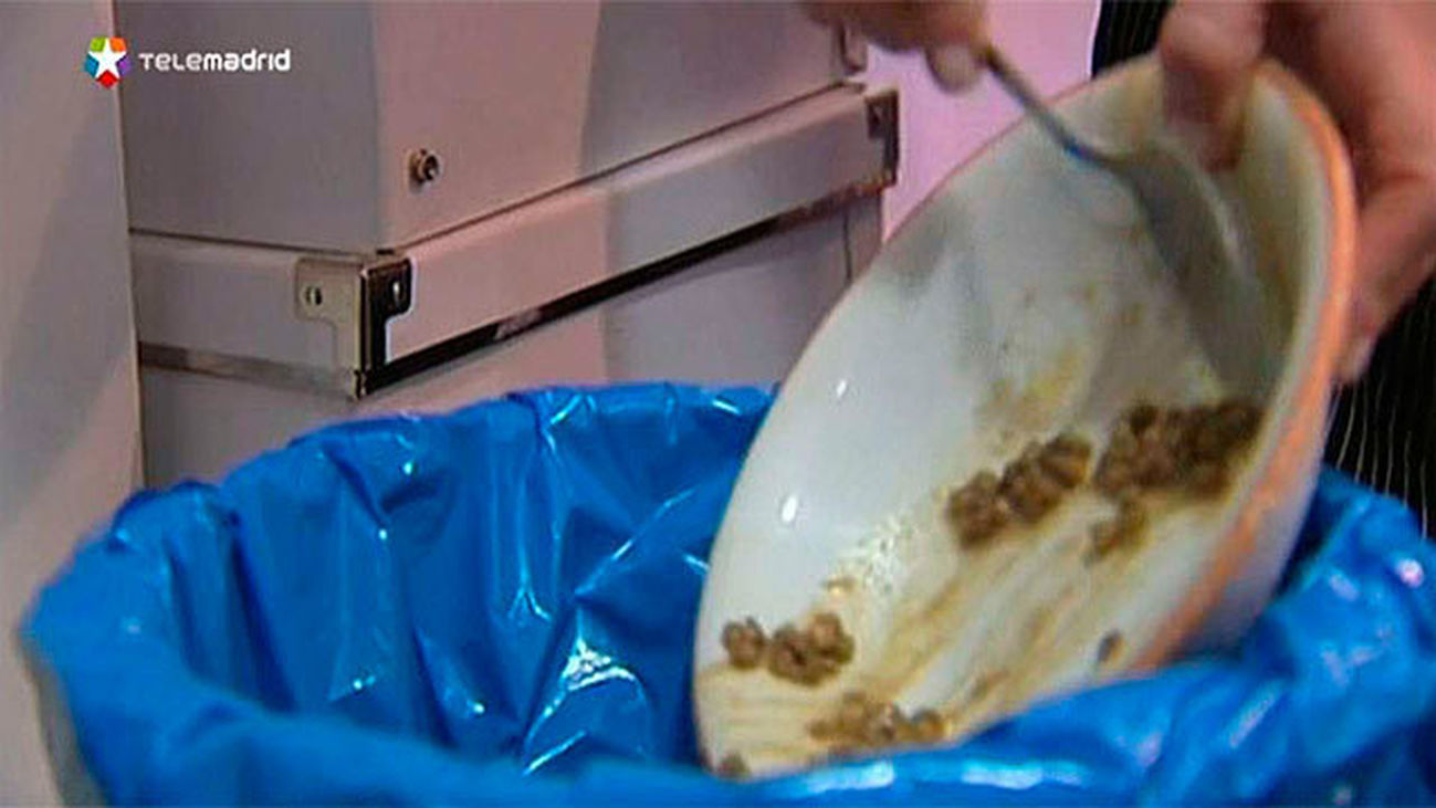 Un estudio sobre hábitos afirma que los hogares españoles tiran toneladas de comida al año